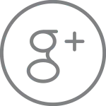 Google SVG Icon